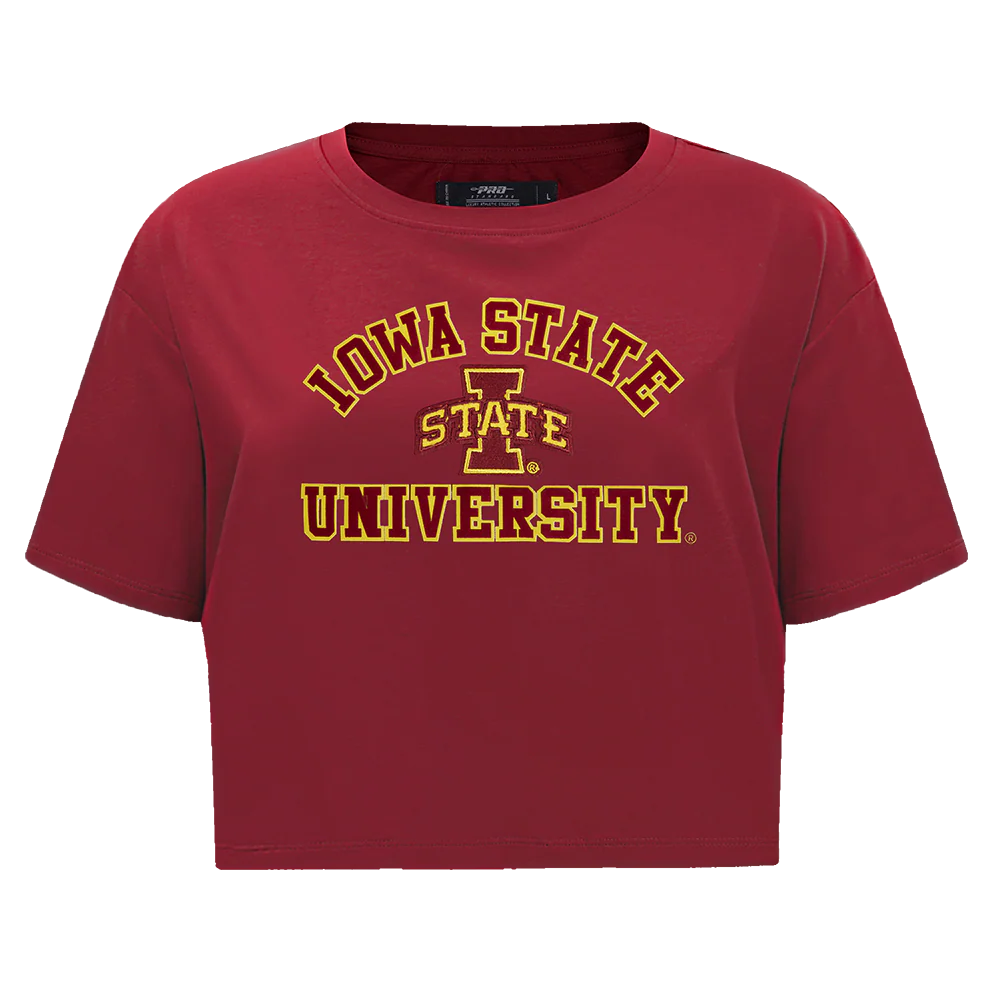 COLLEGE IOWA STATE UNIVERSITY COLLEGE CLASSIC ESSENTIALS WOMEN'S SJ BOXY TEE (CARDINAL RED) - Image 3