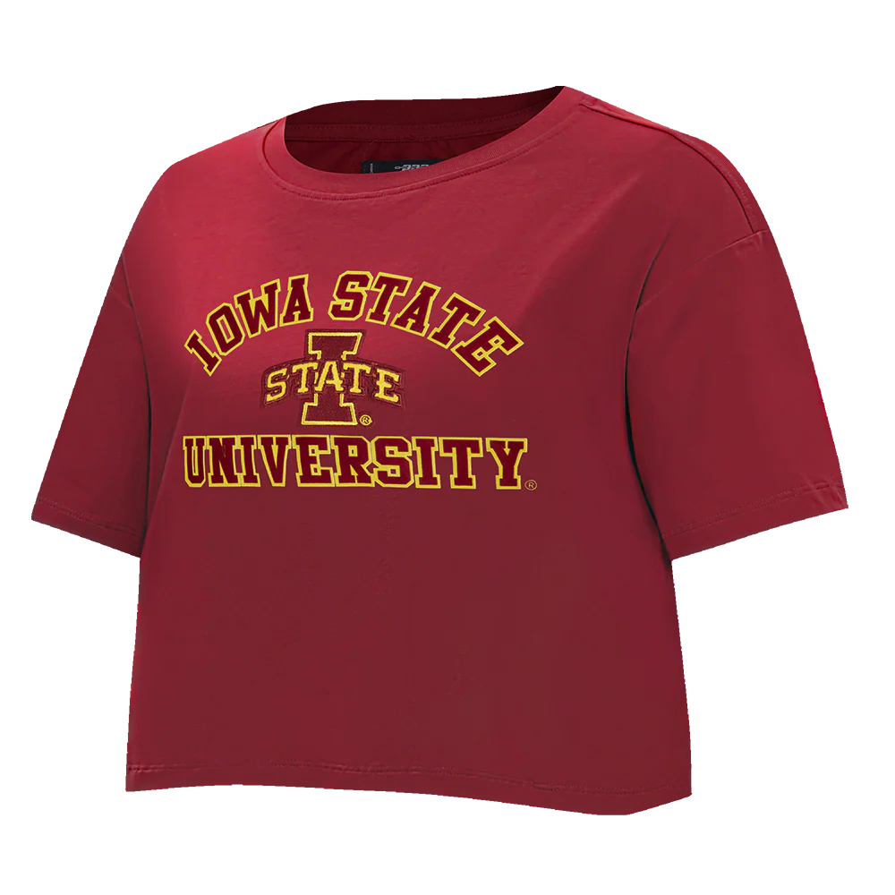 COLLEGE IOWA STATE UNIVERSITY COLLEGE CLASSIC ESSENTIALS WOMEN'S SJ BOXY TEE (CARDINAL RED) - Image 4