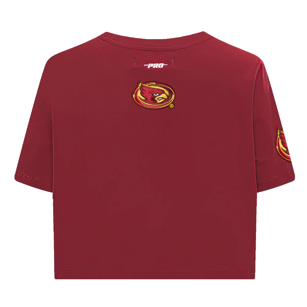 COLLEGE IOWA STATE UNIVERSITY COLLEGE CLASSIC ESSENTIALS WOMEN'S SJ BOXY TEE (CARDINAL RED) - Image 5