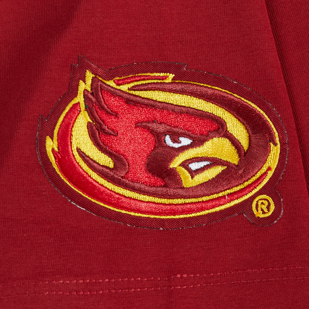 COLLEGE IOWA STATE UNIVERSITY COLLEGE CLASSIC ESSENTIALS WOMEN'S SJ BOXY TEE (CARDINAL RED) - Image 8