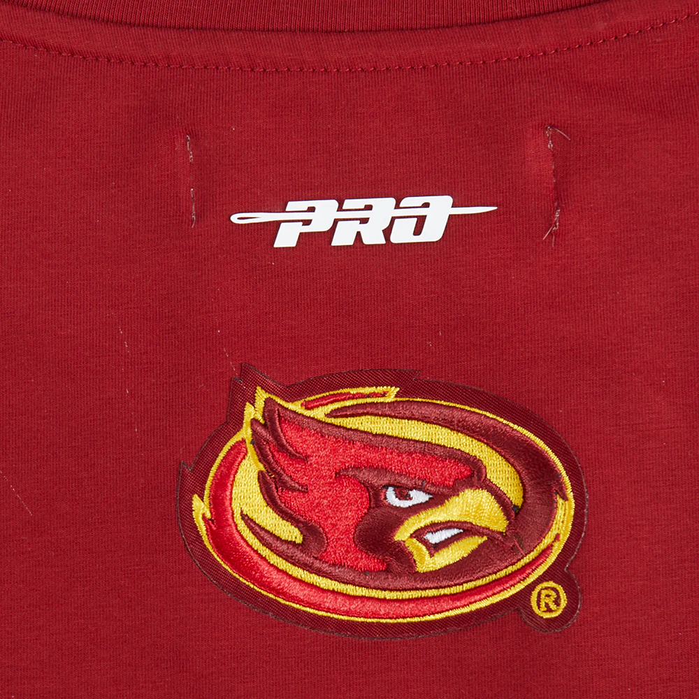 COLLEGE IOWA STATE UNIVERSITY COLLEGE CLASSIC ESSENTIALS WOMEN'S SJ BOXY TEE (CARDINAL RED) - Image 9