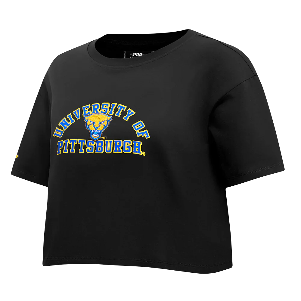 UNIVERSITY OF PITTSBURGH CLASSIC SINGLE JERSEY BOXY TEE (HEATHER GREY) - Image 2
